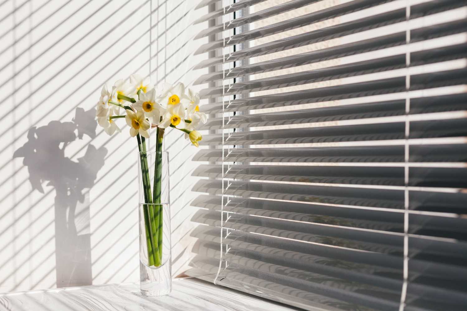 Interior Window Shutters, Functionality, and Quality